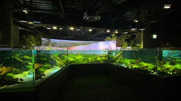 カワスイ 川崎⽔族館に投稿された画像（2022/5/29）