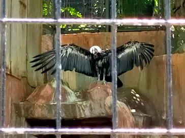 天王寺動物園に投稿された画像（2022/5/29）