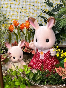 安城産業文化公園デンパークに投稿された画像（2022/5/29）