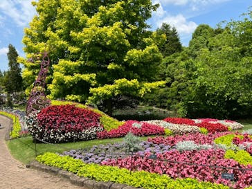 安城産業文化公園デンパークに投稿された画像（2022/5/29）