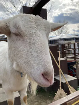 天王寺動物園に投稿された画像（2022/5/29）