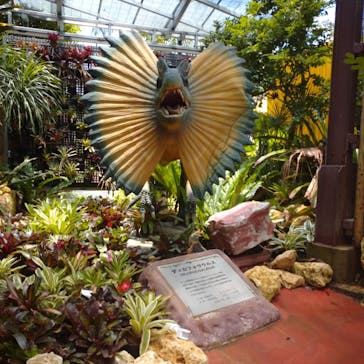 ナゴパイナップルパークに投稿された画像（2022/5/29）