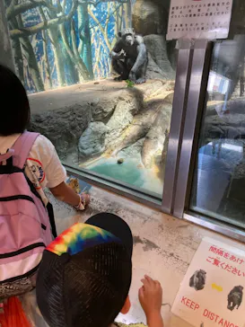 天王寺動物園に投稿された画像（2022/5/29）