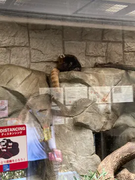 天王寺動物園に投稿された画像（2022/5/29）