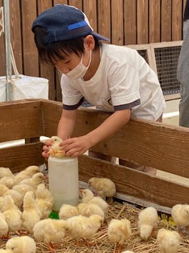 しろとり動物園に投稿された画像（2022/5/29）