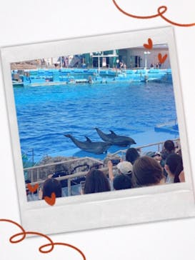 名古屋港水族館に投稿された画像（2022/5/29）