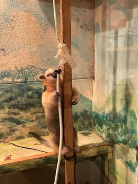 伊豆シャボテン動物公園に投稿された画像（2022/5/29）