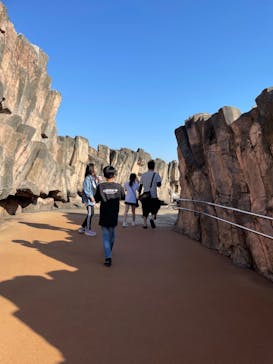 名古屋港水族館に投稿された画像（2022/5/29）