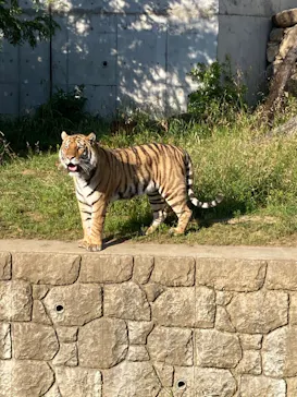 天王寺動物園に投稿された画像（2022/5/29）