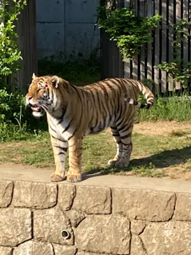 天王寺動物園に投稿された画像（2022/5/29）