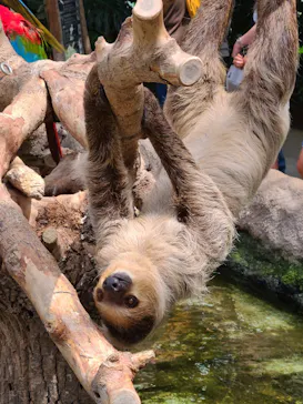 神戸どうぶつ王国に投稿された画像（2022/5/29）