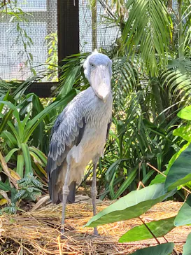 神戸どうぶつ王国に投稿された画像（2022/5/29）