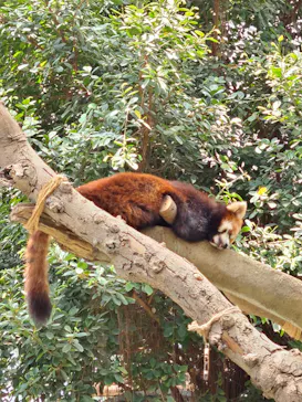 神戸どうぶつ王国に投稿された画像（2022/5/29）