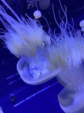 すみだ水族館に投稿された画像（2022/5/29）