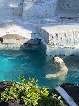 天王寺動物園に投稿された画像（2022/5/29）
