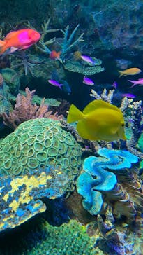 サンシャイン水族館に投稿された画像（2022/5/29）