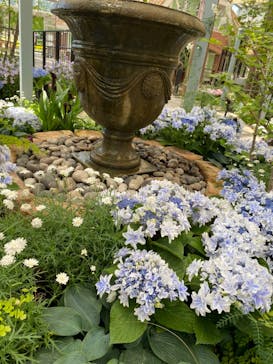 安城産業文化公園デンパークに投稿された画像（2022/5/29）