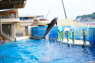 新江ノ島水族館に投稿された画像（2022/5/29）