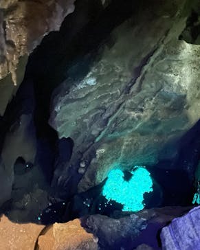 あぶくま洞に投稿された画像（2022/5/29）