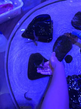 南知多ビーチランド＆南知多おもちゃ王国に投稿された画像（2022/5/29）