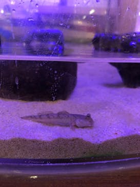 南知多ビーチランド＆南知多おもちゃ王国に投稿された画像（2022/5/29）