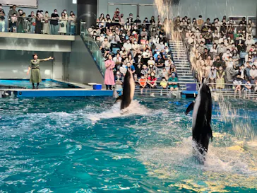 マクセル アクアパーク品川に投稿された画像（2022/5/29）