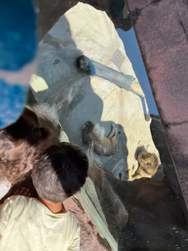 天王寺動物園に投稿された画像（2022/5/29）