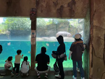 天王寺動物園に投稿された画像（2022/5/29）