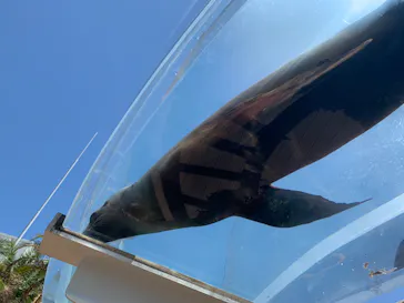 サンシャイン水族館に投稿された画像（2022/5/29）