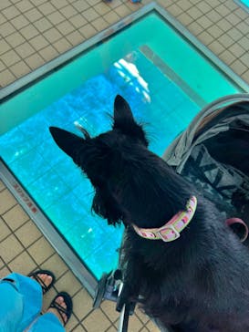 徳島県立 渦の道に投稿された画像（2022/5/29）