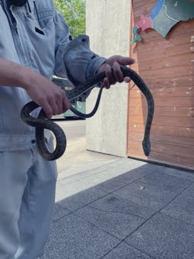 サホロリゾート　ベア･マウンテンに投稿された画像（2022/5/29）