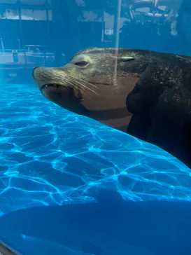 サンシャイン水族館に投稿された画像（2022/5/29）