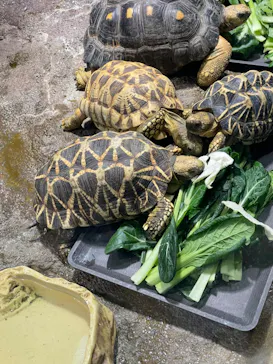 サンシャイン水族館に投稿された画像（2022/5/29）