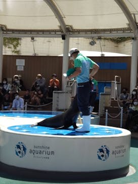 サンシャイン水族館に投稿された画像（2022/5/29）