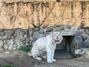 東武動物公園に投稿された画像（2022/5/29）