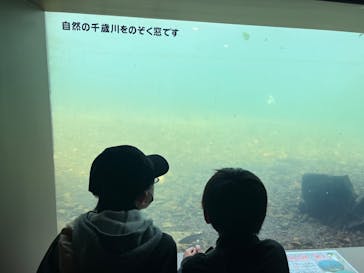サケのふるさと 千歳水族館に投稿された画像（2022/5/29）