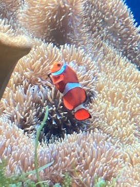 名古屋港水族館に投稿された画像（2022/5/29）