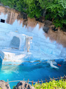 天王寺動物園に投稿された画像（2022/5/29）