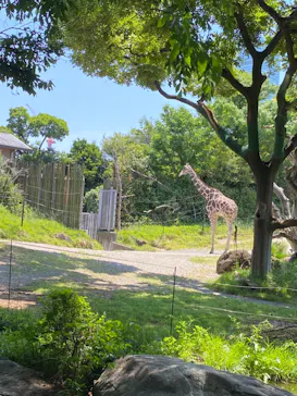 天王寺動物園に投稿された画像（2022/5/29）