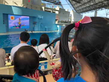 横浜・八景島シーパラダイスに投稿された画像（2022/5/29）