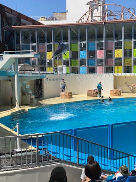 伊豆・三津シーパラダイスに投稿された画像（2022/5/29）