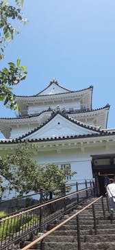 小田原城に投稿された画像（2022/5/29）