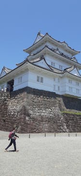 小田原城に投稿された画像（2022/5/29）