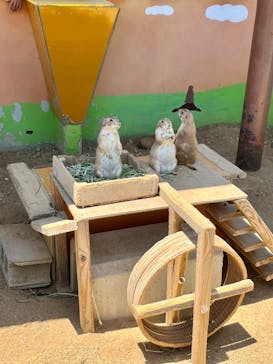 淡路ファームパーク イングランドの丘に投稿された画像（2022/5/29）