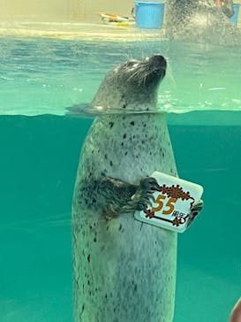 下田海中水族館に投稿された画像（2022/5/29）
