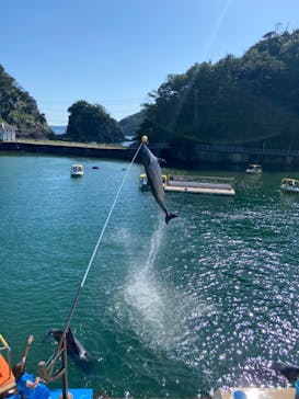 下田海中水族館に投稿された画像（2022/5/29）