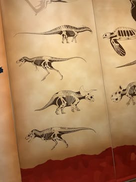 国立科学博物館　特別企画展「ポケモン化石博物館」に投稿された画像（2022/5/29）