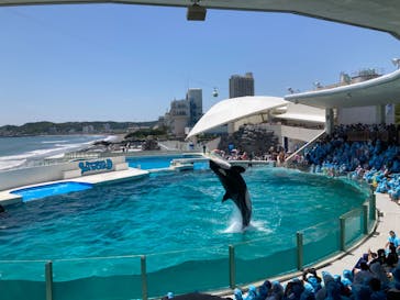 鴨川シーワールドに投稿された画像（2022/5/29）