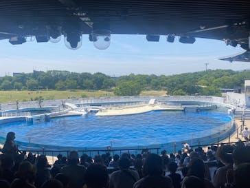 京都水族館×ニデック京都タワーに投稿された画像（2022/5/30）