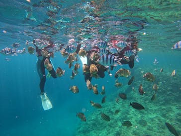 武藤潜水に投稿された画像（2022/5/30）